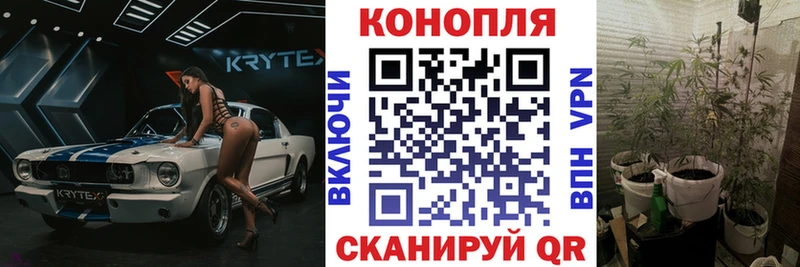 купить наркотики сайты  Магас  Бошки марихуана THC 21% 